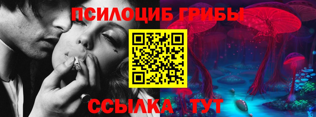 Советская Гавань  Галлюциногенные грибы MAGIC MUSHROOMS  Вход с VPN 